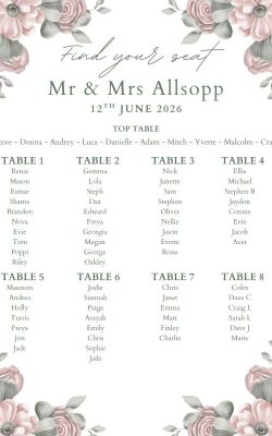 Pink and White Seating Plan